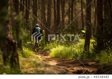 Cyclist Riding the Bike on the Trail in the Beautiful Pine Forest. Adventure and Travel Concept 49548485