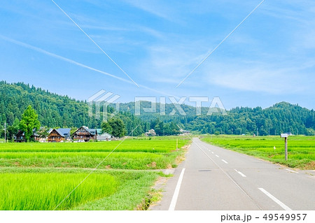 夏の農村風景 49549957