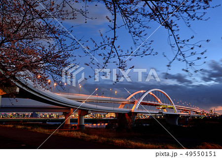 荒川のさくら、五色桜大橋と江北ジャンクションの夜景 荒川のさくら、五色桜大橋と江北ジャンクションの夜景 49550151