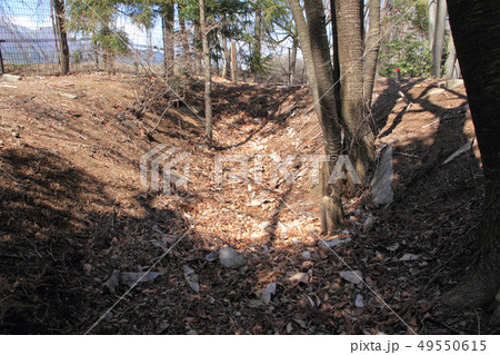 長野県安曇野市　E6号・E7号墳　狐塚 49550615