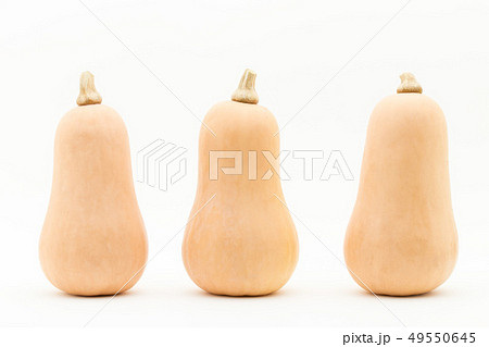 バターナッツカボチャ　バターナッツスクワッシュ　バターナッツスカッシュ　ピーナッツカボチャ 49550645