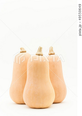 バターナッツカボチャ バターナッツスクワッシュ バターナッツスカッシュ ピーナッツカボチャ バターナッツカボチャ バターナッツスクワッシュ バターナッツスカッシュ ピーナッツカボチャ 49550649