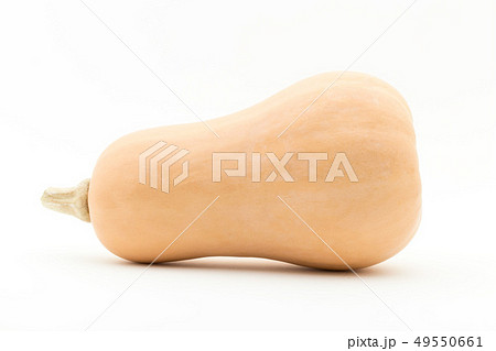 バターナッツカボチャ バターナッツスクワッシュ バターナッツスカッシュ ピーナッツカボチャ バターナッツカボチャ バターナッツスクワッシュ バターナッツスカッシュ ピーナッツカボチャ 49550661