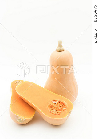 バターナッツカボチャ バターナッツスクワッシュ バターナッツスカッシュ ピーナッツカボチャの写真素材