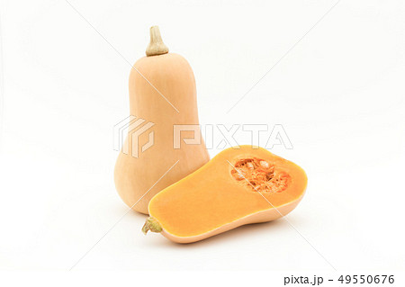 バターナッツカボチャ　バターナッツスクワッシュ　バターナッツスカッシュ　ピーナッツカボチャ 49550676