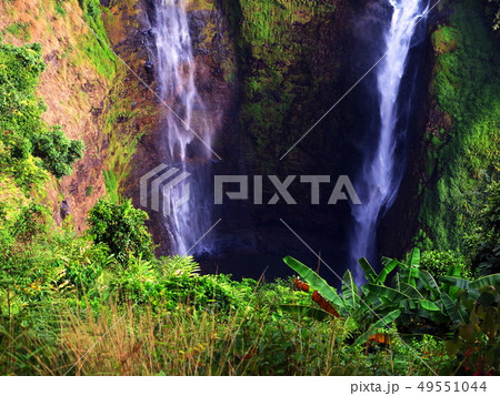 Beautiful waterfall with nature green rain forest 49551044