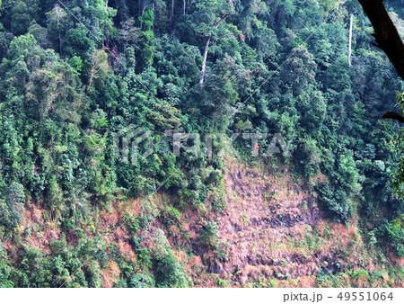 Beautiful waterfall with nature green rain forest 49551064