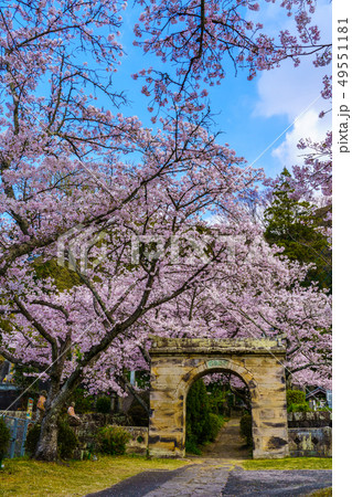 円応寺の桜 【佐賀県武雄市】 円応寺の桜 【佐賀県武雄市】 49551181