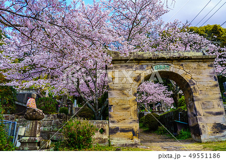 円応寺の桜　【佐賀県武雄市】 49551186