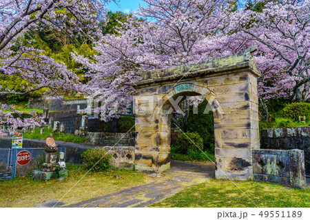 円応寺の桜 【佐賀県武雄市】 円応寺の桜 【佐賀県武雄市】 49551189