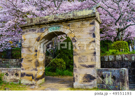 円応寺の桜 【佐賀県武雄市】 円応寺の桜 【佐賀県武雄市】 49551193