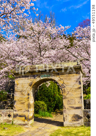 円応寺の桜 【佐賀県武雄市】 円応寺の桜 【佐賀県武雄市】 49551198