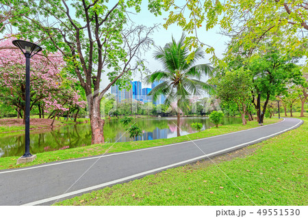 Beautiful garden in daytime Beautiful garden in daytime 49551530