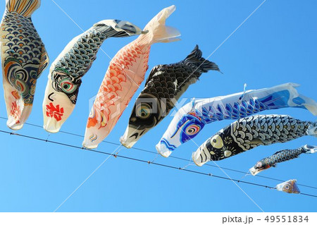 鯉のぼり 春 とちぎ 鯉のぼり 春 とちぎ 49551834