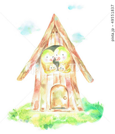 鳥の家族　バードハウス 49551837