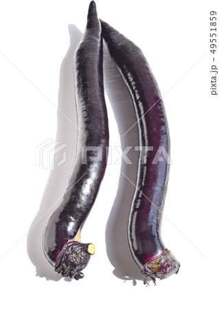 大長なす 大長なす 49551859