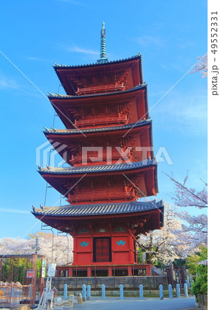 【東京都】池上本門寺の五重塔と桜 【東京都】池上本門寺の五重塔と桜 49552331