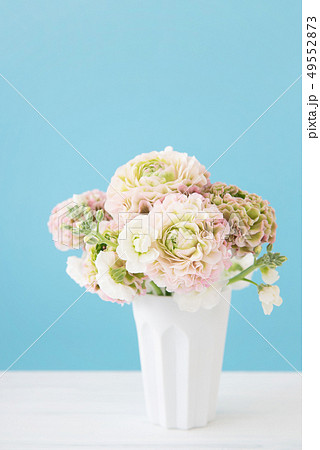 ラナンキュラス ラナンキュラス 49552873