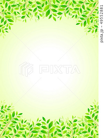 背景素材 木の葉 若葉 青葉 新緑のイラスト素材