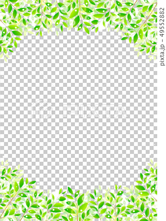 背景材料_木葉若葉青葉鮮綠 49552882