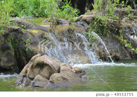 nature view of at tsing yi park hong kong nature view of at tsing yi park hong kong 49553755