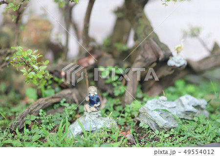 Bonsai and Penjing landscape with miniature Bonsai and Penjing landscape with miniature 49554012