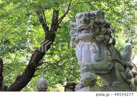 狛犬 49554277