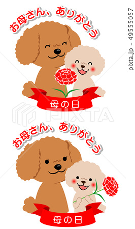 母の日 向き合うトイプードルの親子のイラスト素材