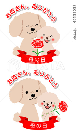 母の日 向き合うトイプードルの親子2のイラスト素材