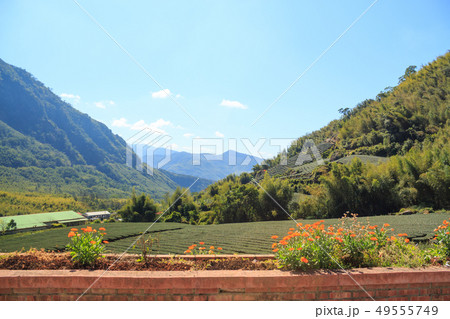 summer morning in the mountains summer morning in the mountains 49555749