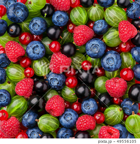 Close-up of fresh berries.Top view. 49556105