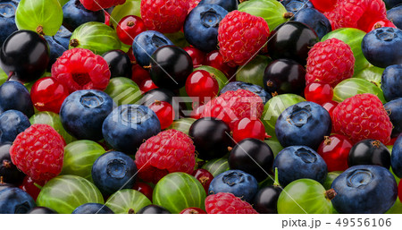 Berries colorful assorted background. 49556106