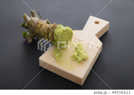 わさび わさび 49556311
