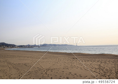 三浦海岸（春） 49556724