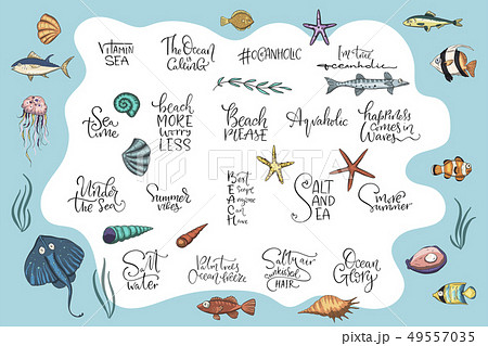 Ocean tropical vector set. 49557035
