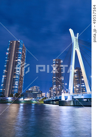隅田川 中央大橋の夜景 隅田川 中央大橋の夜景 49557564
