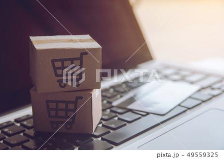 Shopping online concept - Shopping service on The Shopping online concept - Shopping service on The 49559325