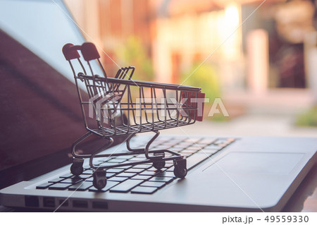 Shopping online concept - Shopping service on The 49559330