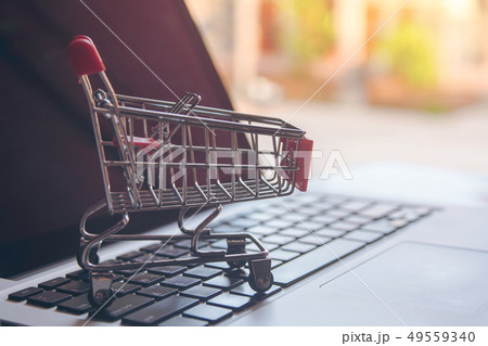 Shopping online concept - Shopping service on The 49559340