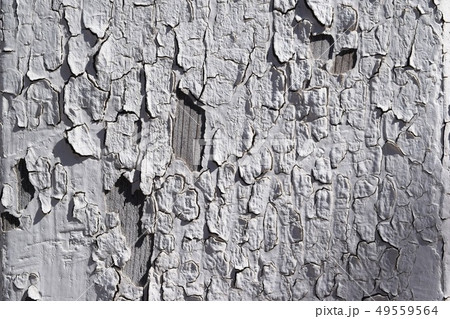 剥がれた白ペンキ 49559564