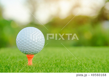 Golf ball with orange tee on green grass ready to Golf ball with orange tee on green grass ready to 49560168