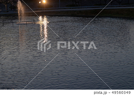 夕方のさくら広場の噴水 千葉県習志野市 夕方のさくら広場の噴水 千葉県習志野市 49560349