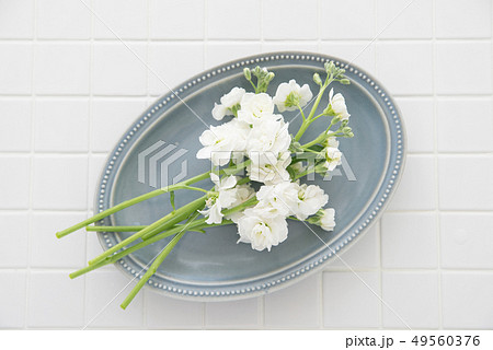 白いストックの写真素材