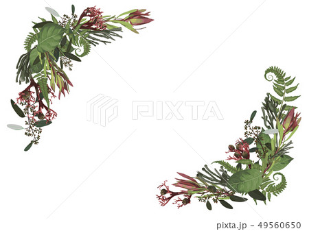 Set of arc, wreath. Greenery and leaves, branches Set of arc, wreath. Greenery and leaves, branches 49560650