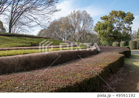 柏の葉公園 49561192