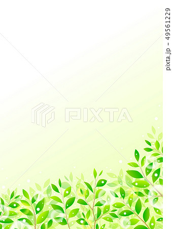 背景素材_木の葉 若葉 青葉 新緑 49561229