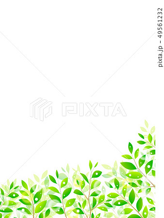 背景素材_木の葉 若葉 青葉 新緑 49561232
