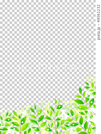 背景材料_木葉若葉青葉鮮綠 背景材料_木葉若葉青葉鮮綠 49561232