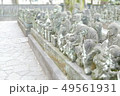 五百羅漢 49561931