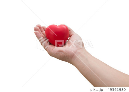 Red heart ball on hand isolated on white  49561980